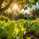 Morador cultiva árvores no quintal para reduzir o calor da horta e descobre como posicionar as plantas para aproveitar a sombra sem prejudicar o cultivo
