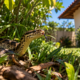 A vegetação modifica temperatura, umidade e abrigo no ambiente, criando microhabitats que podem favorecer determinadas espécies de cobras e suas presas