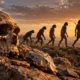 A evolução humana reúne várias espécies do gênero Homo. Fósseis, ferramentas e DNA revelam como nossos ancestrais surgiram, migraram e coexistiram