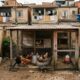 Família cria algumas galinhas no quintal há anos e só depois de receber notificação da prefeitura descobre que uma regra antiga restringe a criação de aves na área urbana
