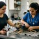 Veterinário que atende emergências há anos repete o mesmo aviso: chocolate e uva são extremamente tóxicos e podem causar de arritmia cardíaca a falência renal em cães, gatos tendem a beber mais em fontes de água corrente, o que ajuda a reduzir cálculos na bexiga, vacinas em dia no esquema definido pelo veterinário não são um luxo mas o básico da imunologia, e é sempre a medicação humana dada por conta própria que mascara ou agrava a doença do animal