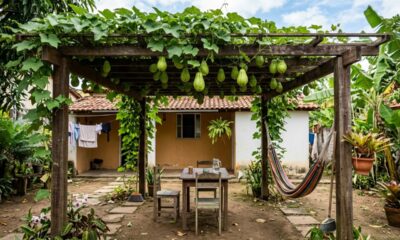 4 plantas frutíferas que podem crescer em cercas e pergolados, economizam espaço e ainda deixam o jardim mais bonito e produtivo