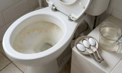 Nem produto caro nem esfregação pesada: 3 colheres deste ingrediente em água morna no vaso sanitário durante a noite podem ajudar a soltar crostas antigas de calcário
