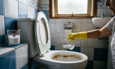 Coloque 3 colheres de sopa no vaso sanitário antes de dormir: pela manhã, ele estará brilhando e livre do calcário