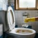 Coloque 3 colheres de sopa no vaso sanitário antes de dormir: pela manhã, ele estará brilhando e livre do calcário