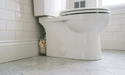 Colocar algodão com 3 gotas desse ingrediente atrás do vaso sanitário antes de dormir: para que serve e por que tanta gente faz isso à noite