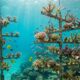 Por volta de 2000, um colecionador de peixes tropicais da Flórida pendurou fragmentos de coral resgatados em “árvores” submarinas, e o pequeno viveiro acabou virando uma rede de restauração de recifes