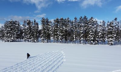 Land Art: artistas transformam natureza em telas