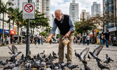 Aposentado dá milho aos pombos todos os dias na praça e só após receber advertência descobre que o hábito pode render multa de R$ 431,54