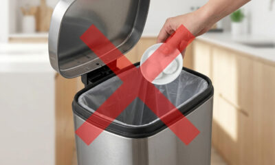 Adeus mau cheiro na lixeira: a solução caseira simples para desinfetar o balde da cozinha e afastar as moscas de vez