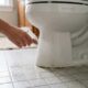 Borrifar vinagre ao redor do vaso sanitário: para que serve e por que deve esperar de 10 a 15 minutos