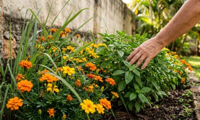As 3 melhores plantas para manter cobras bem longe de casa