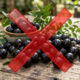 Adeus, jabuticaba: essa fruta de restinga dá pequenas bagas vermelhas do tamanho de pérolas que são extremamente doces e suculentas no pé