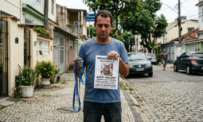 Clínica veterinária deixa gato escapar de gaiola durante internação e Justiça obriga estabelecimento a pagar R$ 10 mil pela perda do animal