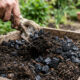 Mistura de carvão biochar ativado com adubo orgânico: para que serve o composto poroso que cria ilhas permanentes de nutrientes na terra do vaso