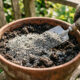 Pó de rocha granítica na terra: para que serve o remineralizador barato que repõe sílica na adubação e evita o tombamento do caule das plantas