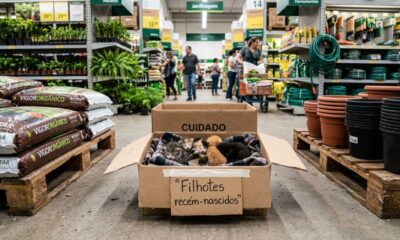 Cliente da Home Depot encontra caixa com aviso de “Cuidado” e fica surpresa ao ouvir um choro vindo de dentro