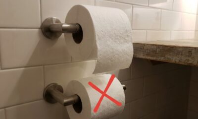 Nem sempre é só questão de preferência: um detalhe de 1891 ajuda a explicar qual posição o papel higiênico costuma ser considerado a mais correta