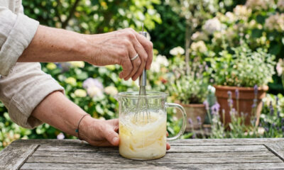 Mistura de detergente neutro com óleo vegetal na proporção exata: como aplicar o spray que asfixia cochonilhas-algodão escondidas nas folhas