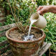 Soro de iogurte natural diluído na água da rega: o adubo probiótico caseiro que recupera a terra dura e compactada de vasos antigos