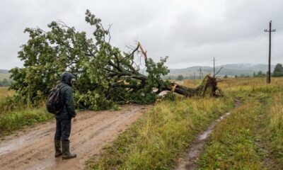 Provérbio russo do dia: “O que está destinado a acontecer não pode ser evitado.” Uma lição sobre aceitação, limites e a necessidade de soltar o controle