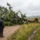 Provérbio russo do dia: “O que está destinado a acontecer não pode ser evitado.” Uma lição sobre aceitação, limites e a necessidade de soltar o controle