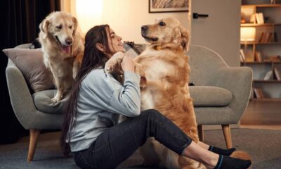 Especialistas em psicologia apontam: escolher pets em vez de filhos pode revelar uma visão de vida que poucos percebem
