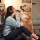 Especialistas em psicologia apontam: escolher pets em vez de filhos pode revelar uma visão de vida que poucos percebem
