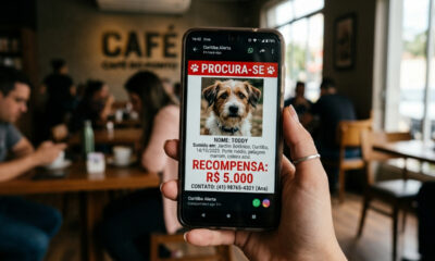 Dono promete recompensa de R$ 5 mil por cachorro perdido na internet, recusa pagamento após devolução do pet e juiz manda penhorar bens