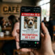Dono promete recompensa de R$ 5 mil por cachorro perdido na internet, recusa pagamento após devolução do pet e juiz manda penhorar bens