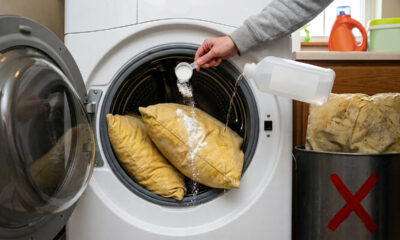 Sem comprar peças, novas nem gastar fortunas: a melhor forma de recuperar travesseiros amarelos usando água oxigenada e bicarbonato na máquina