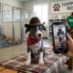 Abrigo coloca chapéus de caubói em filhotes de pit bull que ninguém notava, e a ideia muda o destino dos quatro em apenas três dias