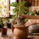 Especialista em plantas recomenda: “Colocar rolhas na terra dos vasos pode ajudar as plantas a se recuperarem e deixar o substrato mais leve.”