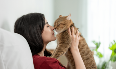 Seu pet tem uma pessoa favorita? Confira os fatores que influenciam o vínculo com os humanos