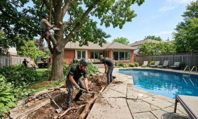 Raízes de árvore vizinha destroem piscina, dono alega amor à natureza para não podar e juiz manda cortar a planta com multa de R$ 35 mil