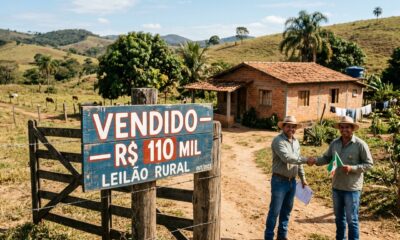 Fazendeiro compra terreno em leilão por R$ 110 mil acreditando ter fechado um ótimo negócio, porém descobre que o antigo morador se recusa a deixar o imóvel e a disputa pela desocupação se arrasta por anos na Justiça