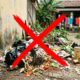 Adeus, ratos no quintal: 5 passos simples ajudam a proteger o espaço sem depender de veneno