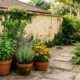Especialistas em controle de pragas concordam: a melhor forma de afastar ratos do jardim não é usar armadilhas, mas cultivar estas 3 plantas aromáticas