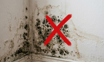 Adeus mofo nas paredes: a diferença entre a tinta acrílica lavável e a emborrachada impermeabilizante para acabar com a umidade no quarto
