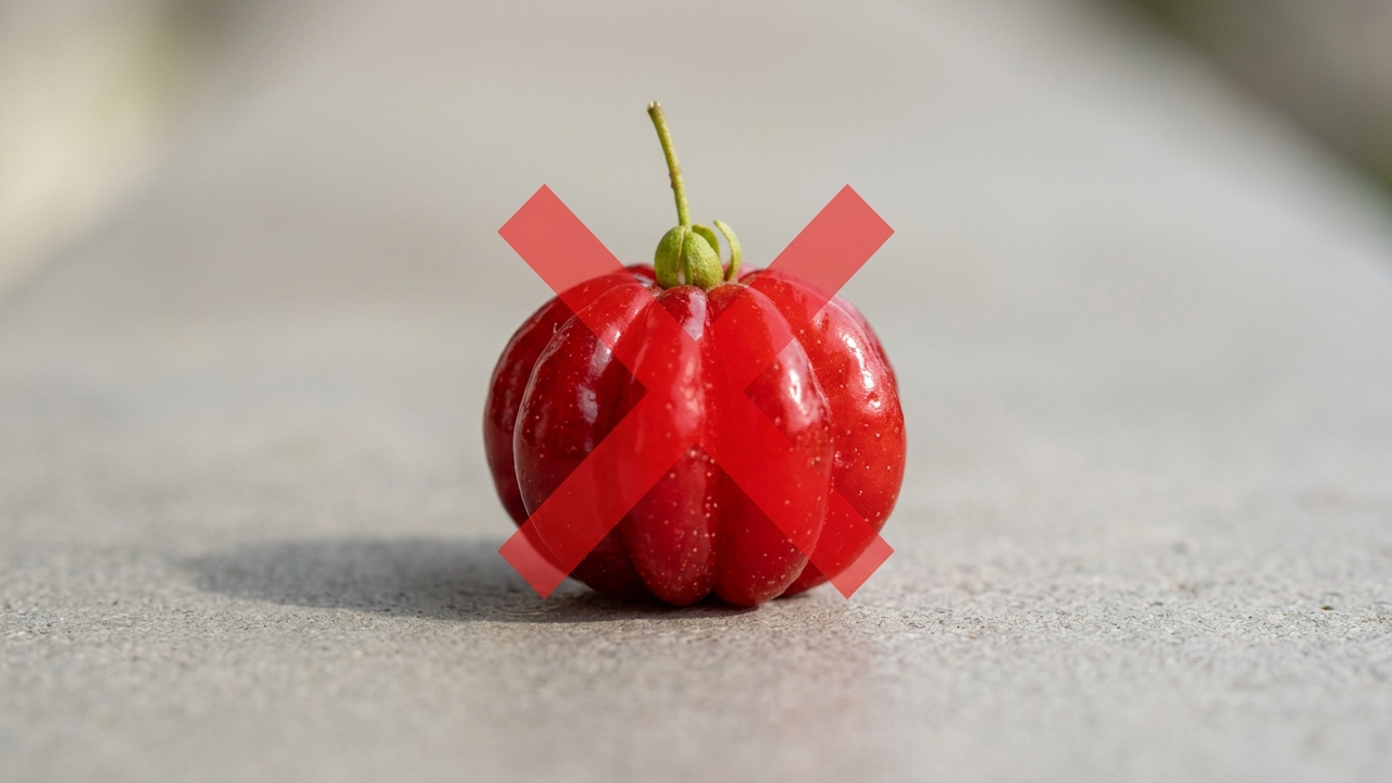Adeus, pitanga: essa fruta de casca alaranjada e polpa alva consistente parece um bombom natural com sabor agridoce refrescante no quintal