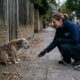 Socorristas não desistem de cão idoso temperamental e voltam várias vezes para tentar salvá-lo