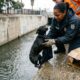 Cachorro é abandonado em canal, consegue ser resgatado e surpreende ao não parar de distribuir beijos para todos ao redor