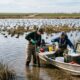 Em 1971, águas residuais agrícolas começaram a ser despejadas em um refúgio de aves na Califórnia e, anos depois, 64% dos filhotes e embriões apresentaram deformações graves