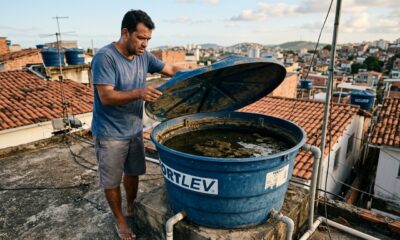 Cinco conselhos para quem faz tempo que não inspeciona a caixa d’água no terraço: o que procurar, o risco de contaminação e a limpeza básica