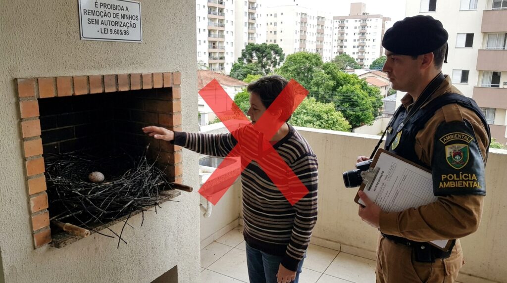 Mulher aluga um apartamento com churrasqueira na varanda, mas antes da carne chegou uma mamãe urubu, que fez um ninho. Ela comunicou ao órgão ambiental do estado, que respondeu: se remover a hóspede, pode tomar multa e ser presa por crime ambiental