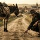 O que significa o provérbio francês: "Mais vale perder um prego do que a mula, e mais vale perder a mula do que o caminho de volta"?