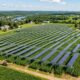 Agricultor colocou 832 painéis solares a 3 metros de altura sobre a lavoura e conseguiu manter cerca de 80% da colheita de milho enquanto também gerava energia