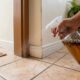Colocar cravo-da-índia no álcool e borrifar nos cantos da casa: para que serve e por que recomendam repetir no início da primavera