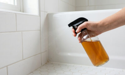 Borrifar chá de cravo-da-índia com álcool nos cantos do banheiro: a barreira aromática que afasta traças de umidade e mosquitinhos de ralo