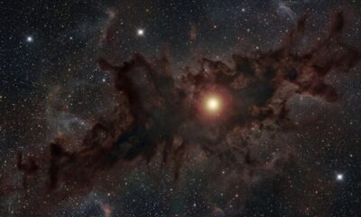 Em 2018, mais de 5 mil voluntários fizeram 860 mil classificações de estrelas e encontraram uma que continuava ficando cada vez mais fraca, sem explicação definitiva